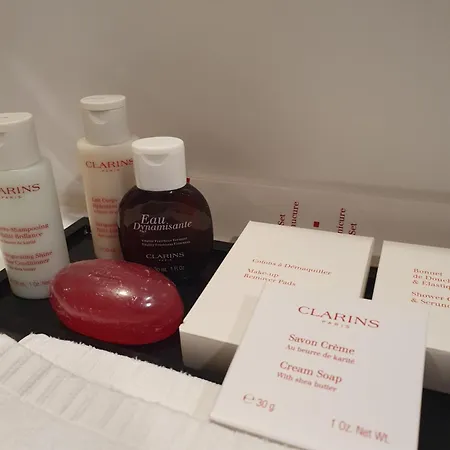 ホテル レ プラトー