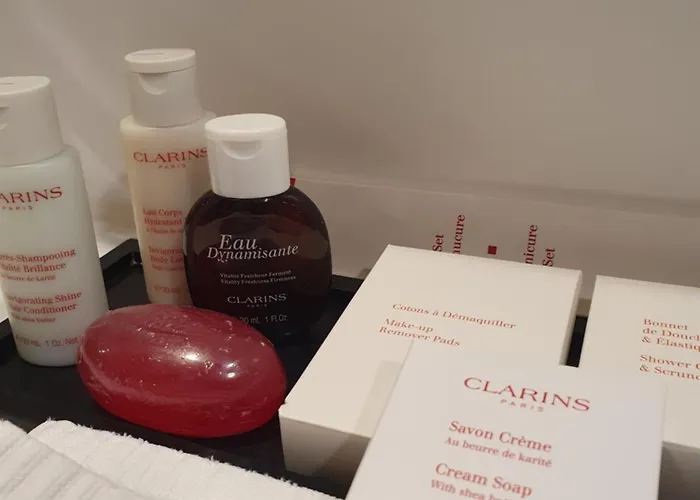 ホテル レ プラトー